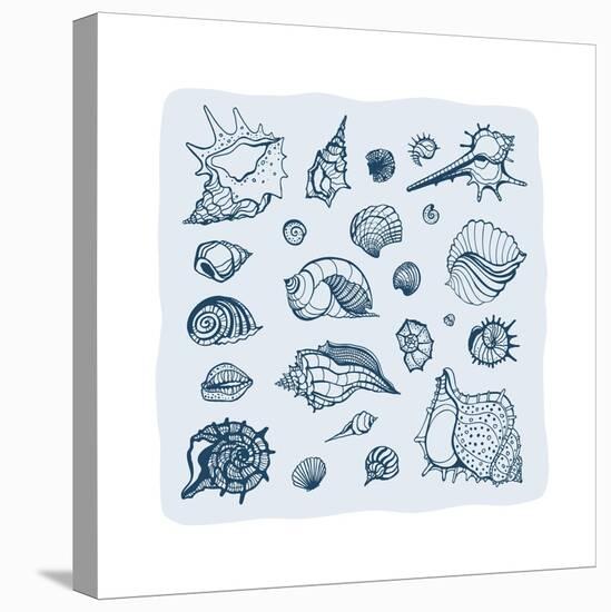 Collection of Seashells-Katya Ulitina-Stretched Canvas