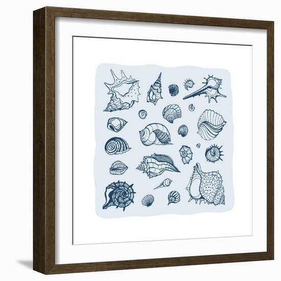 Collection of Seashells-Katya Ulitina-Framed Art Print