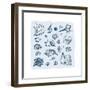 Collection of Seashells-Katya Ulitina-Framed Art Print