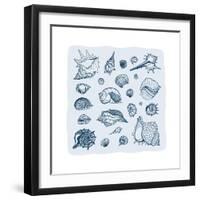 Collection of Seashells-Katya Ulitina-Framed Art Print