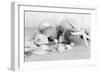 Collection of Shells BW-Tom Quartermaine-Framed Giclee Print