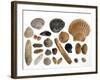 Collection of Shells from the North Sea-Philippe Clement-Framed Photographic Print