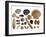 Collection of Shells from the North Sea-Philippe Clement-Framed Photographic Print