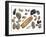 Collection of Shells-Philippe Clement-Framed Photographic Print