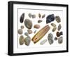 Collection of Shells-Philippe Clement-Framed Photographic Print