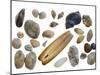 Collection of Shells-Philippe Clement-Mounted Photographic Print