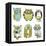 Collection of Six Different Owls-Alisa Foytik-Framed Stretched Canvas