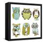 Collection of Six Different Owls-Alisa Foytik-Framed Stretched Canvas