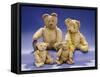 Collection of Teddy Bears-null-Framed Stretched Canvas