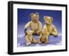 Collection of Teddy Bears-null-Framed Giclee Print