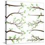 Collection of Tree Branch Silhouettes-Pink Pueblo-Stretched Canvas