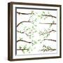 Collection of Tree Branch Silhouettes-Pink Pueblo-Framed Premium Giclee Print