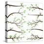 Collection of Tree Branch Silhouettes-Pink Pueblo-Stretched Canvas