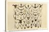 Collection of Unmounted African Game Horns-null-Stretched Canvas