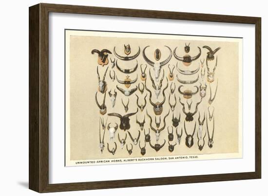 Collection of Unmounted African Game Horns-null-Framed Art Print