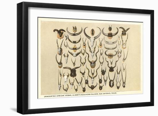 Collection of Unmounted African Game Horns-null-Framed Art Print