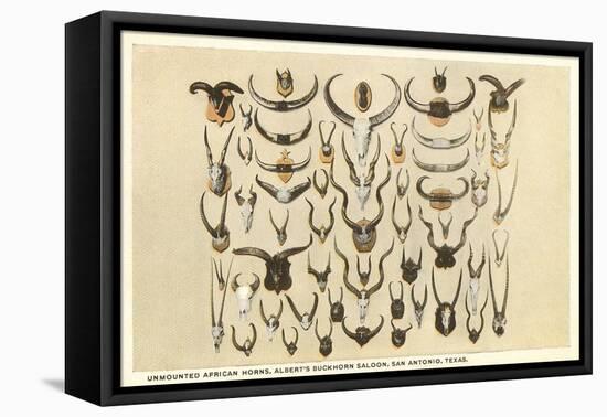 Collection of Unmounted African Game Horns-null-Framed Stretched Canvas