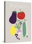 Collection of Vegetables-Laure Girardin Vissian-Stretched Canvas