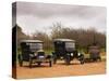 Collection of Vintage Cars, T Fords, Bodega Bouza Winery, Canelones, Montevideo, Uruguay-Per Karlsson-Stretched Canvas