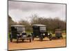 Collection of Vintage Cars, T Fords, Bodega Bouza Winery, Canelones, Montevideo, Uruguay-Per Karlsson-Mounted Photographic Print