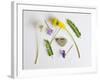 Collection of Wildflowers, Ferns and Heart Shaped Rock-Demelzaandreoli-Framed Photographic Print