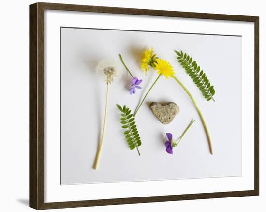 Collection of Wildflowers, Ferns and Heart Shaped Rock-Demelzaandreoli-Framed Photographic Print