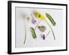 Collection of Wildflowers, Ferns and Heart Shaped Rock-Demelzaandreoli-Framed Photographic Print