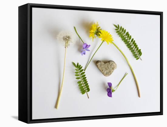 Collection of Wildflowers, Ferns and Heart Shaped Rock-Demelzaandreoli-Framed Stretched Canvas