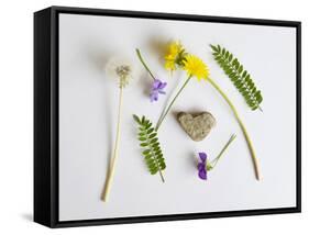Collection of Wildflowers, Ferns and Heart Shaped Rock-Demelzaandreoli-Framed Stretched Canvas