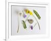 Collection of Wildflowers, Ferns and Heart Shaped Rock-Demelzaandreoli-Framed Photographic Print