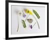 Collection of Wildflowers, Ferns and Heart Shaped Rock-Demelzaandreoli-Framed Photographic Print