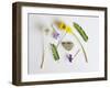 Collection of Wildflowers, Ferns and Heart Shaped Rock-Demelzaandreoli-Framed Photographic Print