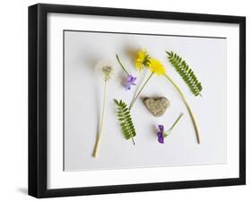 Collection of Wildflowers, Ferns and Heart Shaped Rock-Demelzaandreoli-Framed Photographic Print