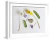 Collection of Wildflowers, Ferns and Heart Shaped Rock-Demelzaandreoli-Framed Photographic Print