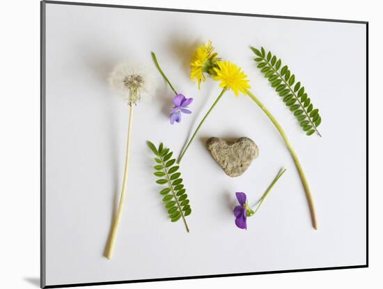 Collection of Wildflowers, Ferns and Heart Shaped Rock-Demelzaandreoli-Mounted Photographic Print