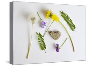 Collection of Wildflowers, Ferns and Heart Shaped Rock-Demelzaandreoli-Stretched Canvas