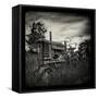 Collectors-Stephen Arens-Framed Stretched Canvas