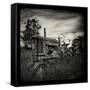 Collectors-Stephen Arens-Framed Stretched Canvas