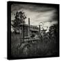 Collectors-Stephen Arens-Stretched Canvas