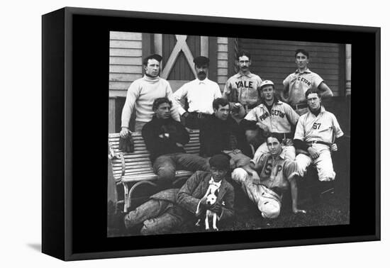 College Baseball Players with Terrier-null-Framed Stretched Canvas