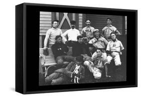 College Baseball Players with Terrier-null-Framed Stretched Canvas