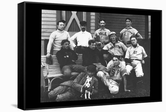 College Baseball Players with Terrier-null-Framed Stretched Canvas