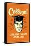 College Best 7 Years Of My Life Funny Retro Poster-Retrospoofs-Framed Stretched Canvas