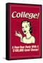 College Four Year Party 100000 Dollar Cover Charge Funny Retro Poster-Retrospoofs-Framed Stretched Canvas
