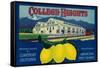 College Heights Lemon Label - Claremont, CA-Lantern Press-Framed Stretched Canvas