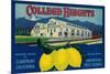 College Heights Lemon Label - Claremont, CA-Lantern Press-Mounted Art Print