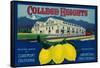 College Heights Lemon Label - Claremont, CA-Lantern Press-Framed Stretched Canvas