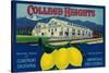 College Heights Lemon Label - Claremont, CA-Lantern Press-Stretched Canvas