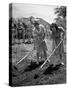 College Students Hoeing Small Plot in University of Hawaii Agriculture and Home Gardening School-Eliot Elisofon-Stretched Canvas