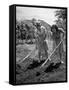 College Students Hoeing Small Plot in University of Hawaii Agriculture and Home Gardening School-Eliot Elisofon-Framed Stretched Canvas